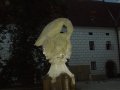 IMGP1076.JPG